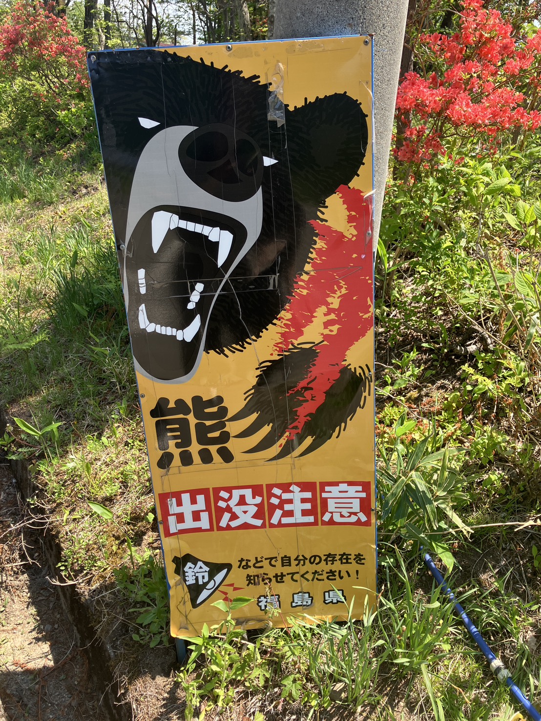 別荘の現地調査へ行ってきました🏡🌲まさかの“熊出没！？🐻【福島市・伊達市の株式会社美建】