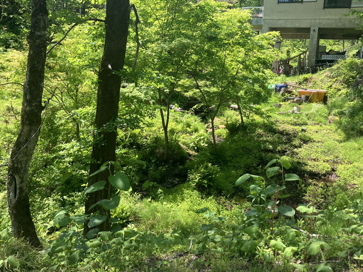 別荘の現地調査へ行ってきました🏡🌲まさかの“熊出没！？🐻【福島市・伊達市の株式会社美建】 02
