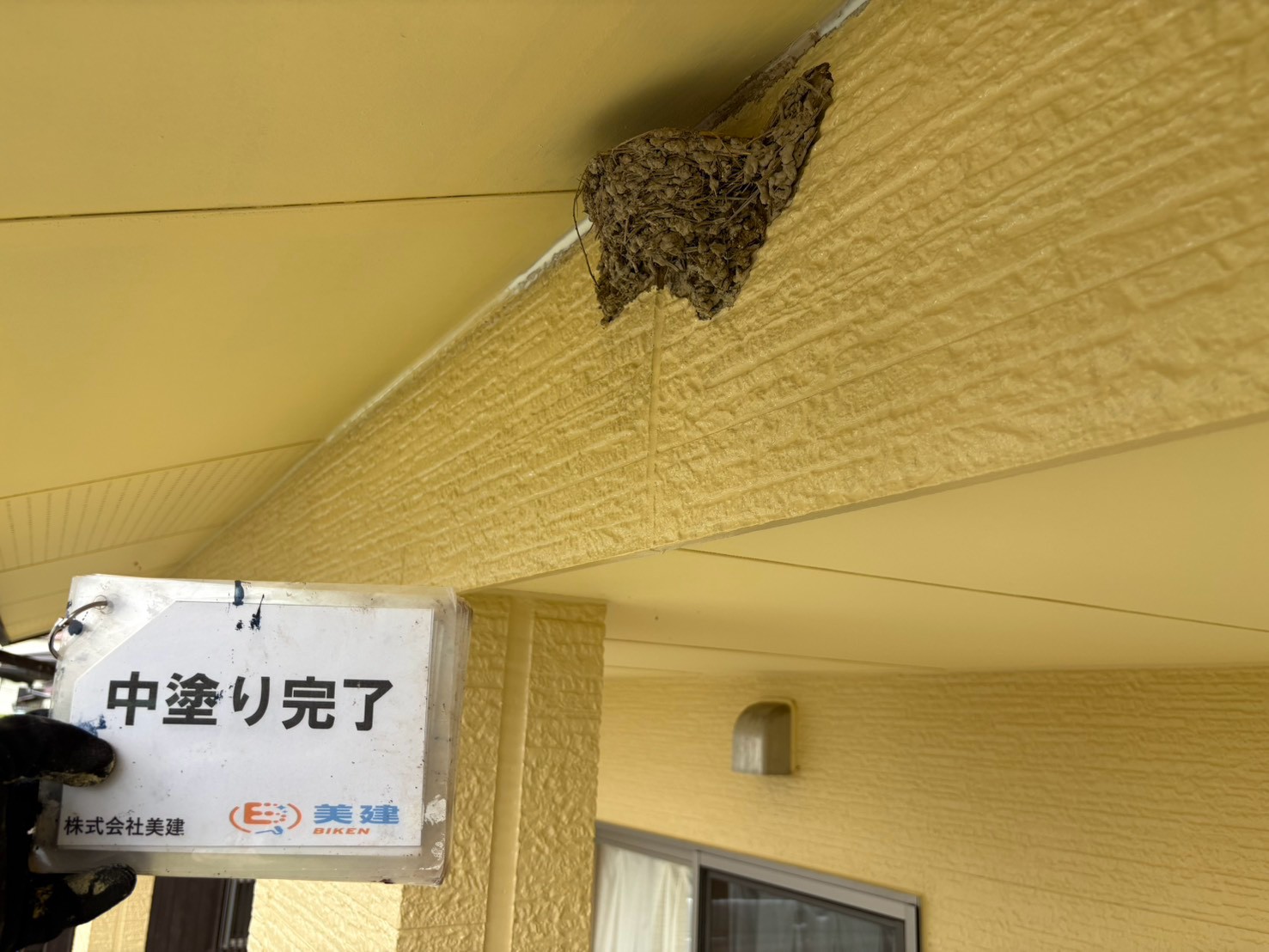 🐦毎年帰ってくるツバメの巣を残して外壁塗装!お客様の大切な場所を守りながら施工しました【福島市・伊達市・伊達郡・二本松市|株式会社美建】 06