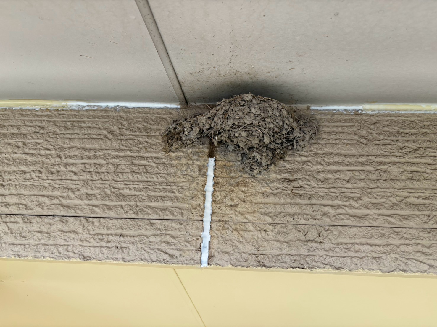 🐦毎年帰ってくるツバメの巣を残して外壁塗装!お客様の大切な場所を守りながら施工しました【福島市・伊達市・伊達郡・二本松市|株式会社美建】 02