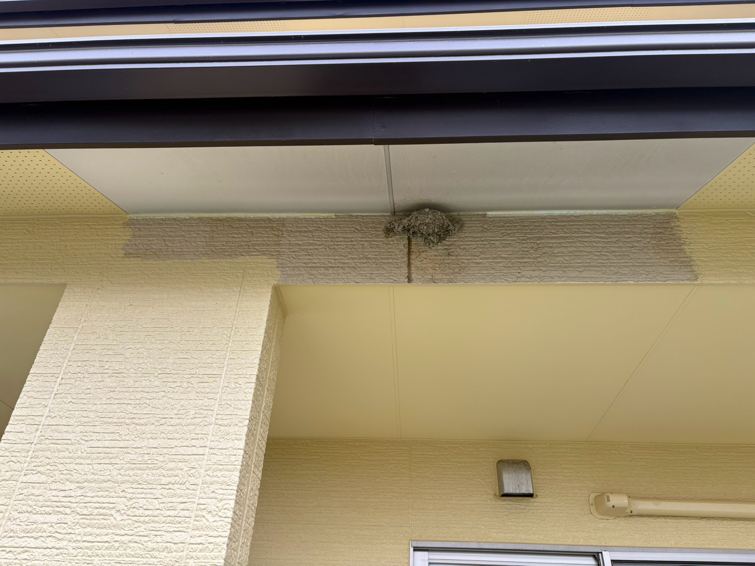 🐦毎年帰ってくるツバメの巣を残して外壁塗装!お客様の大切な場所を守りながら施工しました【福島市・伊達市・伊達郡・二本松市|株式会社美建】 03